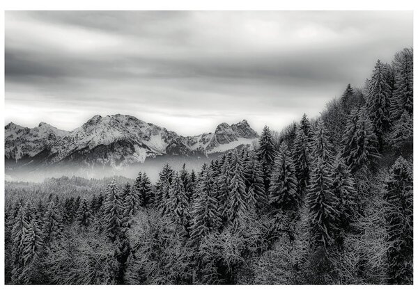 Fototapet munți înghețați în alb-negru