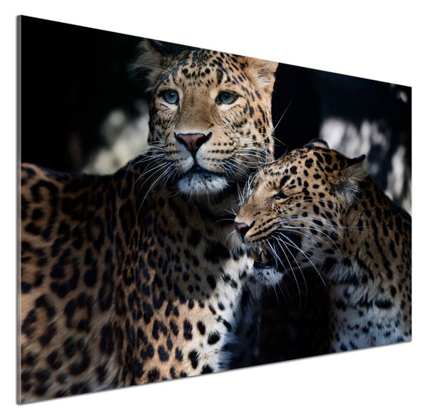 Sticlă printata bucătărie doi leoparzi