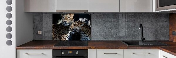 Sticlă printata bucătărie doi leoparzi