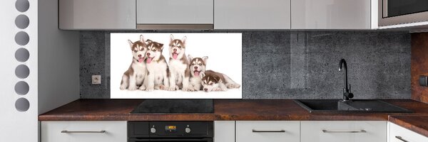 Sticlă pentru bucătărie catelusi Husky