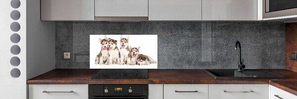 Sticlă pentru bucătărie catelusi Husky