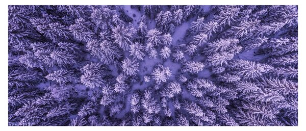 Tablou cu copacii înzăpeziți (120x50 cm)