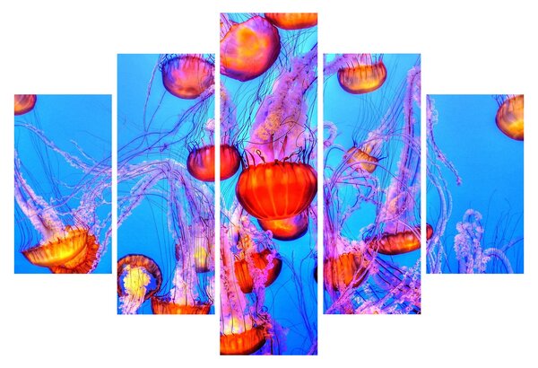 Tablou cu meduse în mare (150x105 cm)