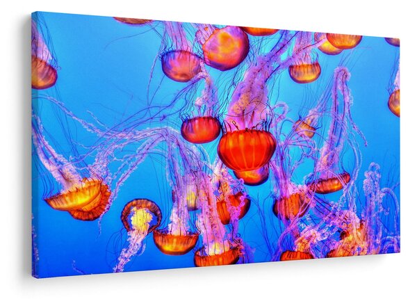 Tablou cu meduse în mare (90x60 cm)