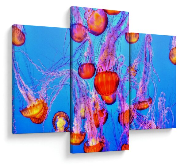 Tablou cu meduse în mare (90x60 cm)