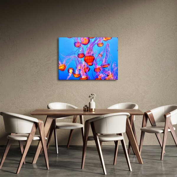 Tablou cu meduse în mare (70x50 cm)