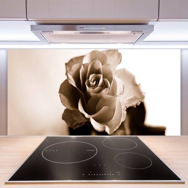 Panou sticla bucatarie Rose Floral Sepia