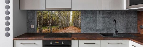 Panou sticla securizata bucatarie alee de mesteacăn