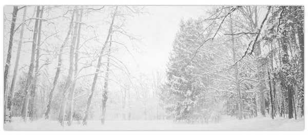 Tablou - Pier de lemn în timpul iernii (120x50 cm)