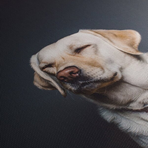 Tablou cu labrador (90x60 cm)