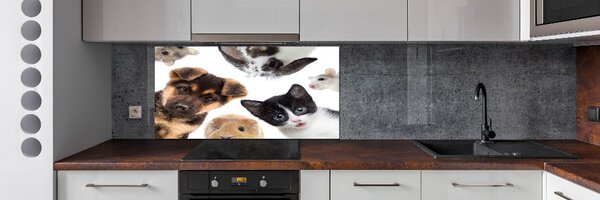 Sticlă bucătărie Animale de companie