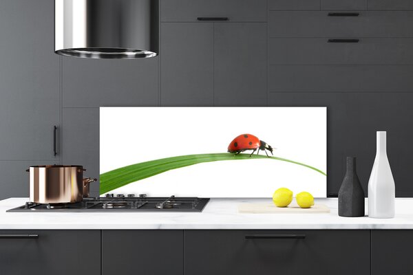 Panou sticla bucatarie Gărgăriță Floral Negru Rosu Verde