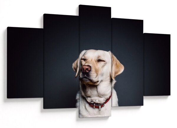Tablou cu labrador (150x105 cm)