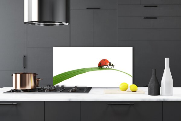 Panou sticla bucatarie Gărgăriță Floral Negru Rosu Verde