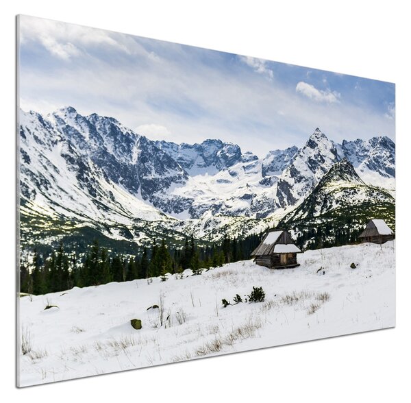 Sticlă pentru bucătărie Hale Tatry