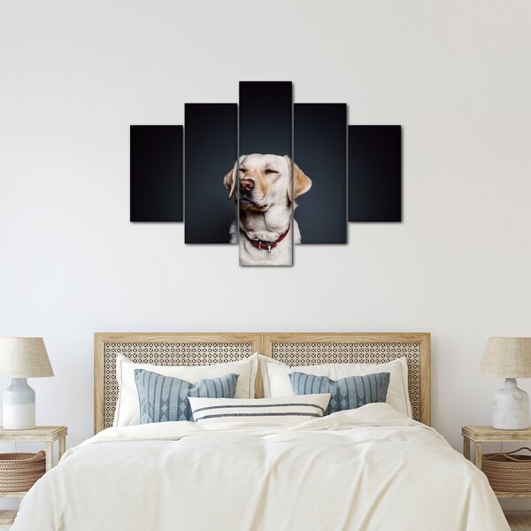 Tablou cu labrador (150x105 cm)
