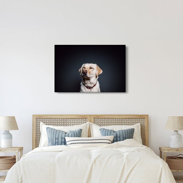 Tablou cu labrador (90x60 cm)