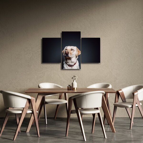 Tablou cu labrador (90x60 cm)