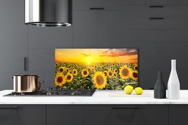 Panou sticla bucatarie Floarea soarelui Floral Galben Verde