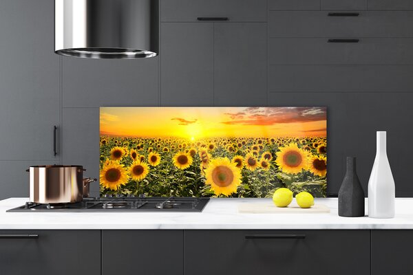 Panou sticla bucatarie Floarea soarelui Floral Galben Verde