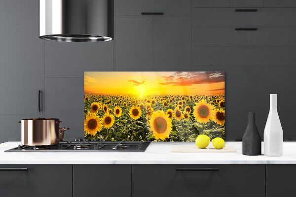 Panou sticla bucatarie Floarea soarelui Floral Galben Verde