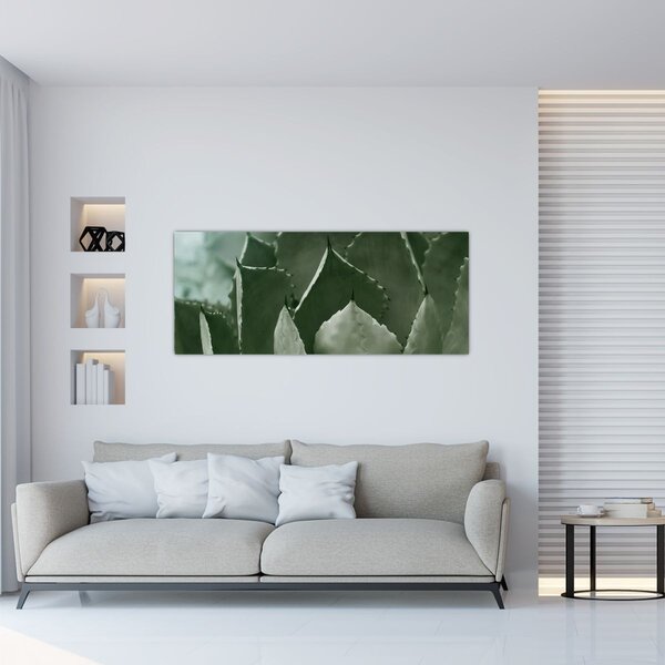 Tablou - Agave verde (120x50 cm)