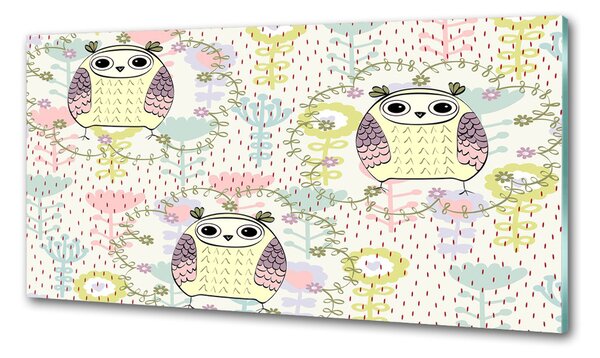 Sticlă pentru bucătărie Owls