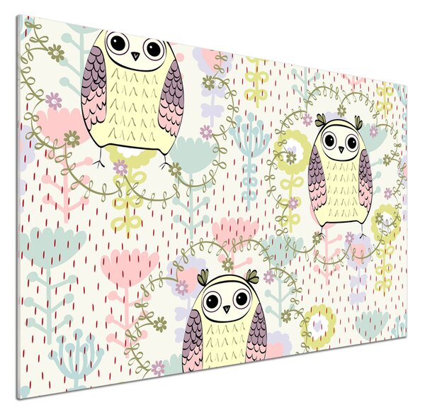 Sticlă pentru bucătărie Owls