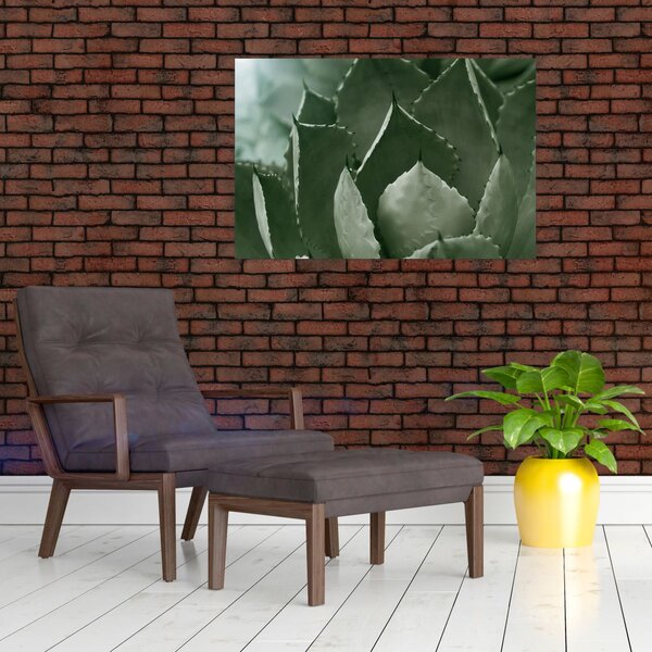 Tablou - Agave verde (90x60 cm)
