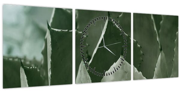 Tablou - Agave verde (cu ceas) (90x30 cm)