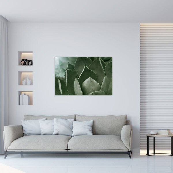 Tablou - Agave verde (90x60 cm)