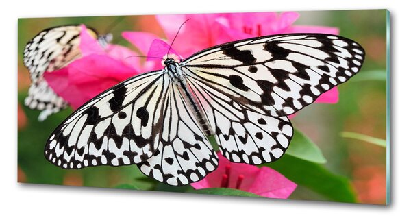 Panou sticla securizata bucatarie Fluture pe o floare