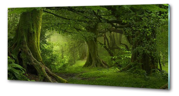 Sticlă pentru bucătărie jungla tropicala