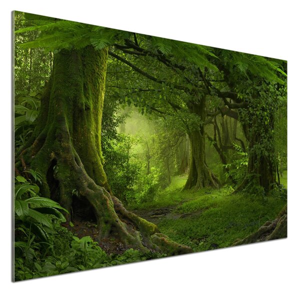 Sticlă pentru bucătărie jungla tropicala