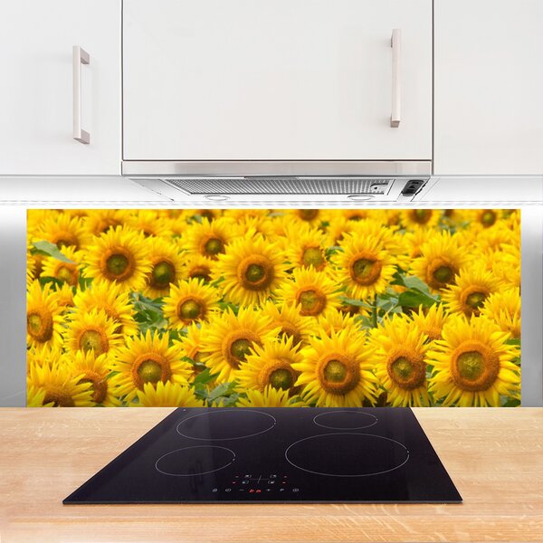 Panou sticla bucatarie Floarea soarelui Floral Galben Maro Verde