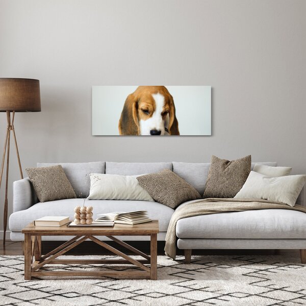 Tablou cu bigl (120x50 cm)