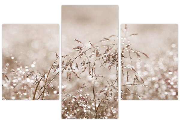 Tablou - Pajiște în tonuri de maro (90x60 cm)