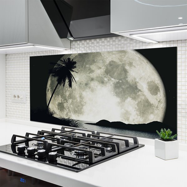 Panou sticla bucatarie Noapte Luna Palm Peisaj Negru Gri Alb