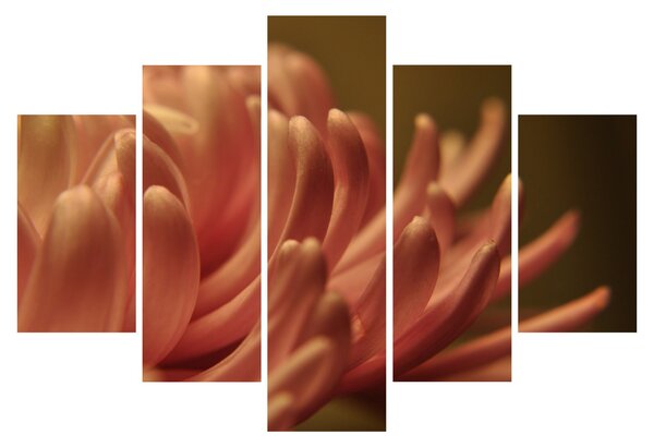 Tablou cu detailu florii (150x105 cm)