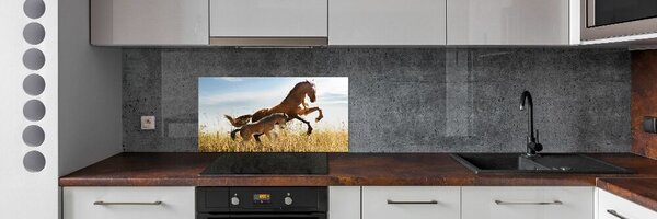 Panou sticla securizata bucatarie Mare cu mânz