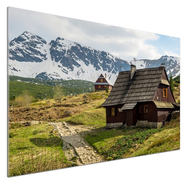 Sticlă printata bucătărie Hale Tatry