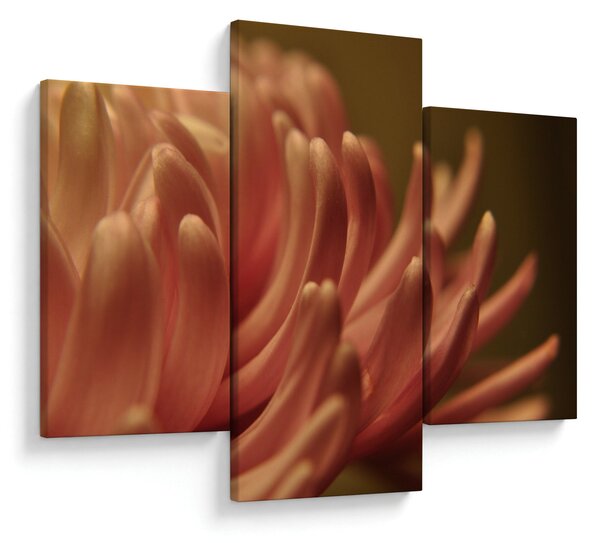 Tablou cu detailu florii (90x60 cm)