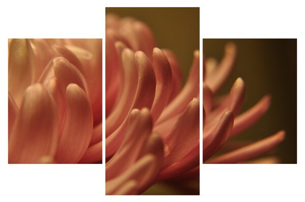 Tablou cu detailu florii (90x60 cm)