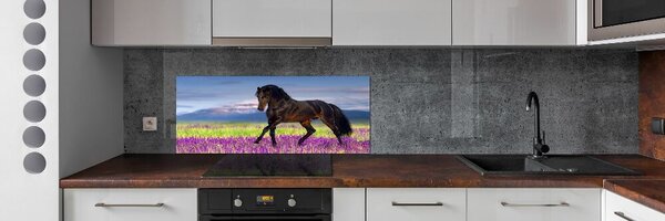 Panou sticla securizata bucatarie Un cal într-un câmp de lavandă