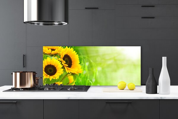 Panou sticla bucatarie Floarea soarelui Floral Brun Galben Verde