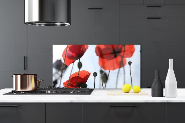 Panou sticla bucatarie Maci Floral Rosu Negru