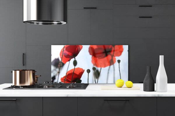 Panou sticla bucatarie Maci Floral Rosu Negru