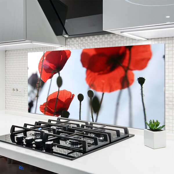 Panou sticla bucatarie Maci Floral Rosu Negru