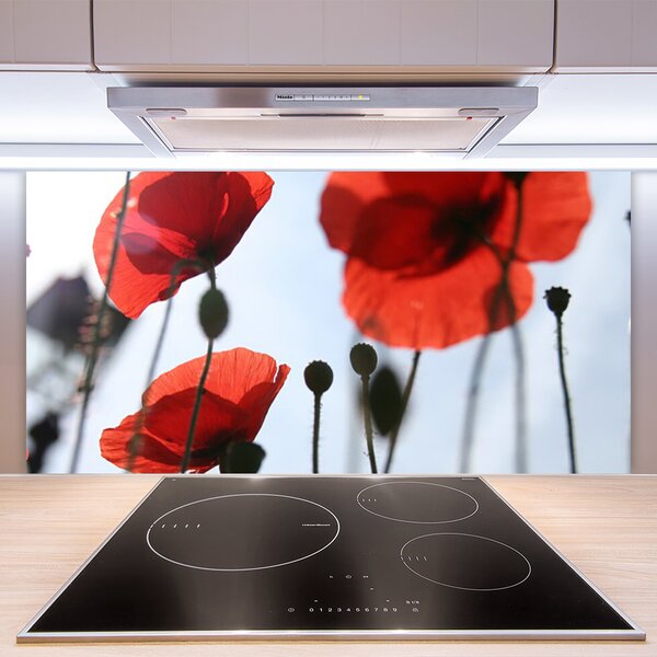 Panou sticla bucatarie Maci Floral Rosu Negru