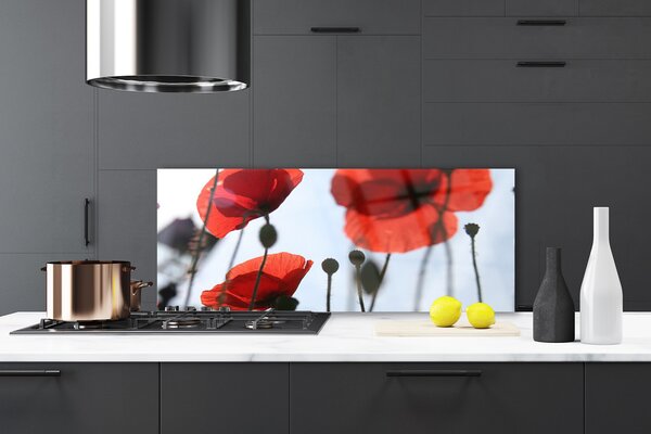 Panou sticla bucatarie Maci Floral Rosu Negru